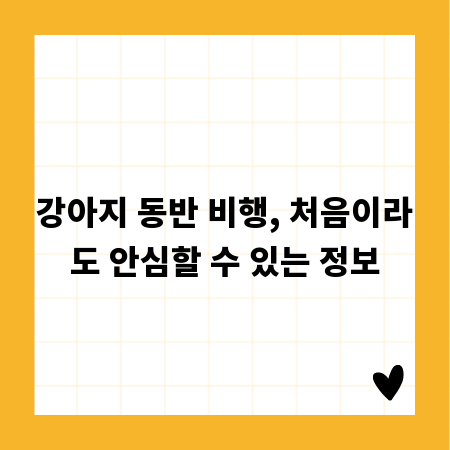 강아지 동반 비행, 처음이라도 안심할 수 있는 정보