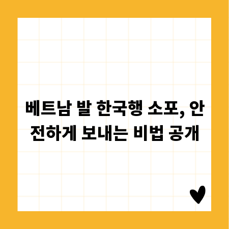 베트남 발 한국행 소포, 안전하게 보내는 비법 공개