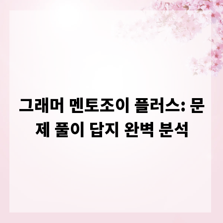 그래머 멘토조이 플러스: 문제 풀이 답지 완벽 분석