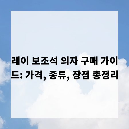 레이 보조석 의자 구매 가이드: 가격, 종류, 장점 총정리