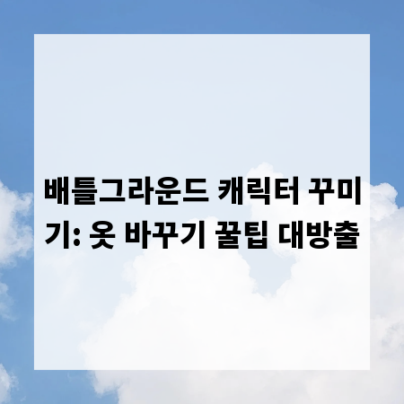 배틀그라운드 캐릭터 꾸미기: 옷 바꾸기 꿀팁 대방출