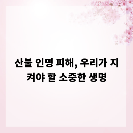 산불 인명 피해, 우리가 지켜야 할 소중한 생명