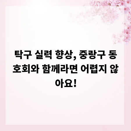 탁구 실력 향상, 중랑구 동호회와 함께라면 어렵지 않아요!