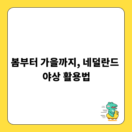봄부터 가을까지, 네덜란드 야상 활용법