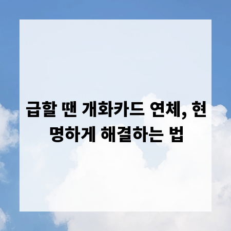 급할 땐 개화카드 연체, 현명하게 해결하는 법