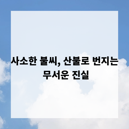 사소한 불씨, 산불로 번지는 무서운 진실