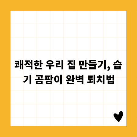쾌적한 우리 집 만들기, 습기 곰팡이 완벽 퇴치법