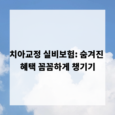 치아교정 실비보험: 숨겨진 혜택 꼼꼼하게 챙기기