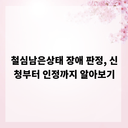 철심남은상태 장애 판정, 신청부터 인정까지 알아보기