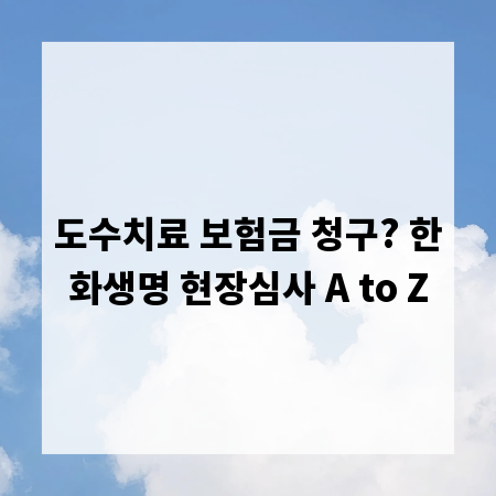 도수치료 보험금 청구? 한화생명 현장심사 A to Z