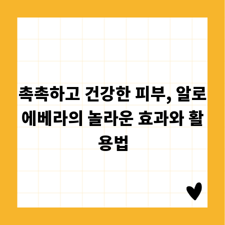 촉촉하고 건강한 피부, 알로에베라의 놀라운 효과와 활용법