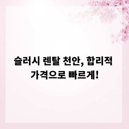 슬러시 렌탈 천안, 합리적 가격으로 빠르게!