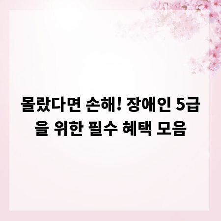 몰랐다면 손해! 장애인 5급을 위한 필수 혜택 모음