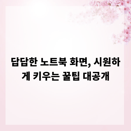 답답한 노트북 화면, 시원하게 키우는 꿀팁 대공개
