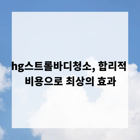 hg스트롤바디청소, 합리적 비용으로 최상의 효과