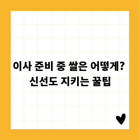 이사 준비 중 쌀은 어떻게? 신선도 지키는 꿀팁