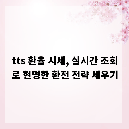 tts 환율 시세, 실시간 조회로 현명한 환전 전략 세우기
