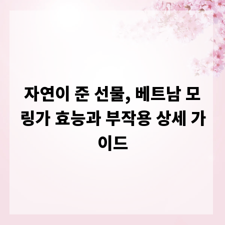 자연이 준 선물, 베트남 모링가 효능과 부작용 상세 가이드