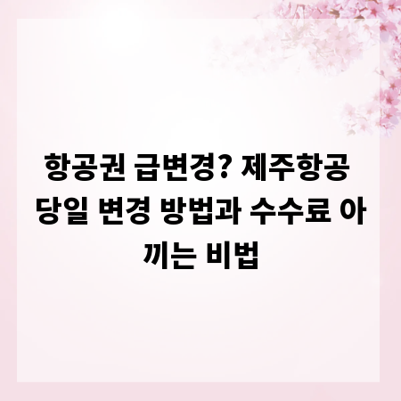 항공권 급변경? 제주항공 당일 변경 방법과 수수료 아끼는 비법