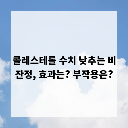 콜레스테롤 수치 낮추는 비잔정, 효과는? 부작용은?