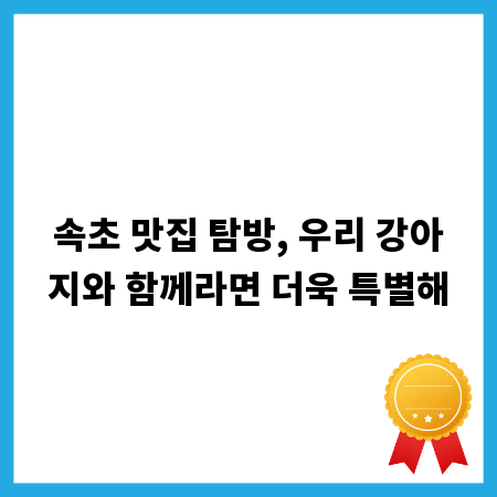 속초 맛집 탐방, 우리 강아지와 함께라면 더욱 특별해