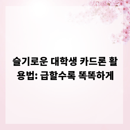 슬기로운 대학생 카드론 활용법: 급할수록 똑똑하게