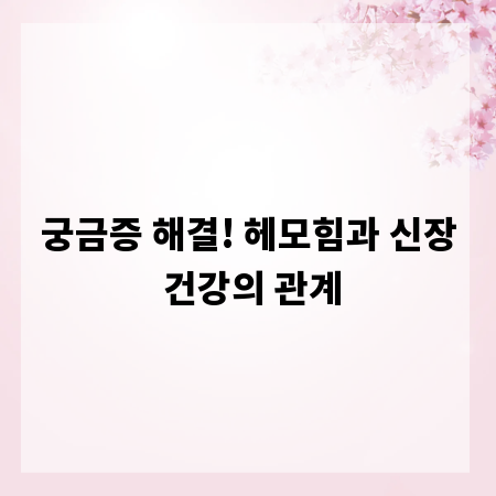 궁금증 해결! 헤모힘과 신장 건강의 관계