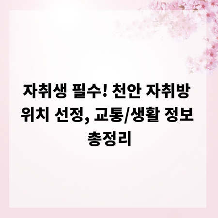 자취생 필수! 천안 자취방 위치 선정, 교통/생활 정보 총정리