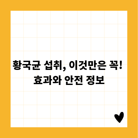 황국균 섭취, 이것만은 꼭! 효과와 안전 정보
