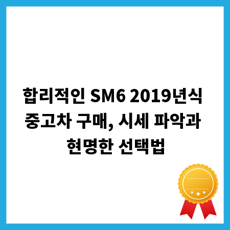 합리적인 SM6 2019년식 중고차 구매, 시세 파악과 현명한 선택법