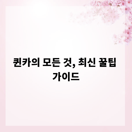 퀸카의 모든 것, 최신 꿀팁 가이드