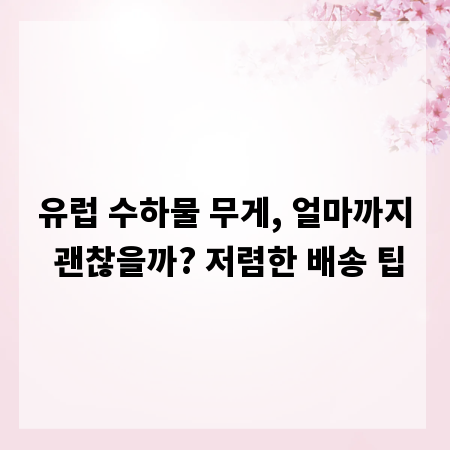 유럽 수하물 무게, 얼마까지 괜찮을까? 저렴한 배송 팁