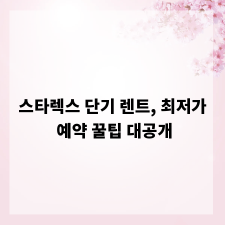 스타렉스 단기 렌트, 최저가 예약 꿀팁 대공개