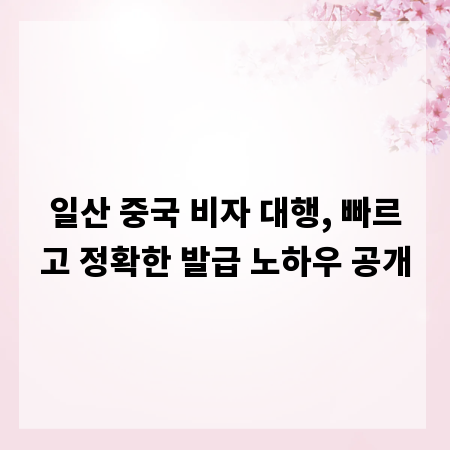일산 중국 비자 대행, 빠르고 정확한 발급 노하우 공개