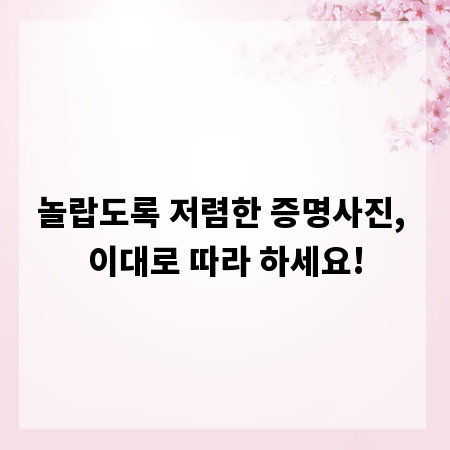 놀랍도록 저렴한 증명사진, 이대로 따라 하세요!