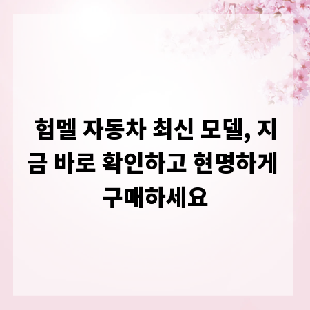 험멜 자동차 최신 모델, 지금 바로 확인하고 현명하게 구매하세요