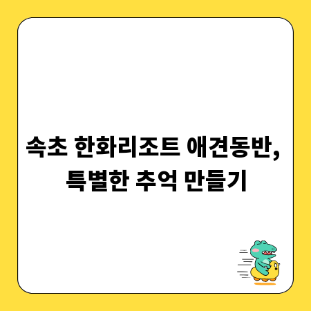 속초 한화리조트 애견동반, 특별한 추억 만들기