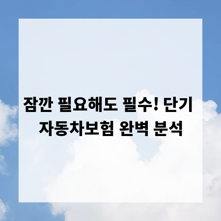 잠깐 필요해도 필수! 단기 자동차보험 완벽 분석