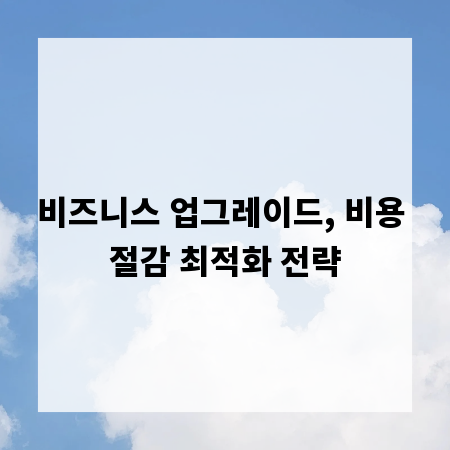 비즈니스 업그레이드, 비용 절감 최적화 전략