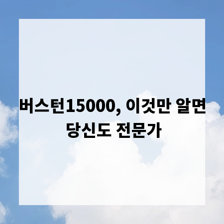 버스턴15000, 이것만 알면 당신도 전문가