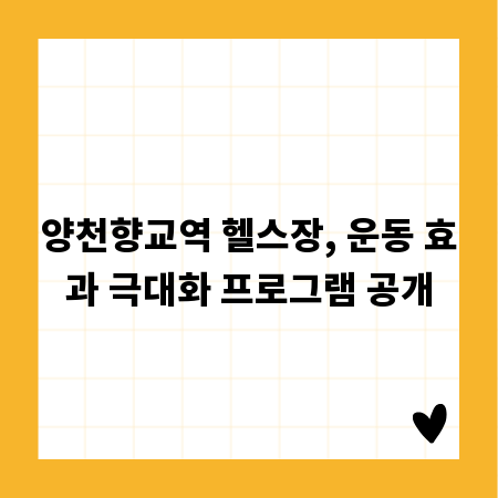 양천향교역 헬스장, 운동 효과 극대화 프로그램 공개