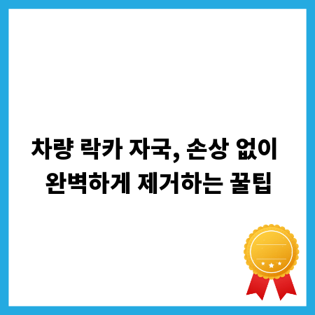 차량 락카 자국, 손상 없이 완벽하게 제거하는 꿀팁