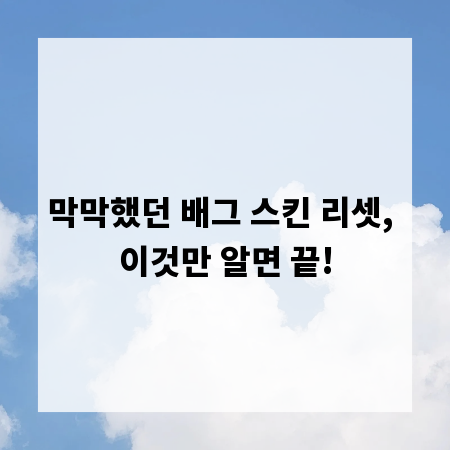 막막했던 배그 스킨 리셋, 이것만 알면 끝!