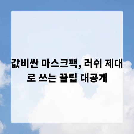 값비싼 마스크팩, 러쉬 제대로 쓰는 꿀팁 대공개