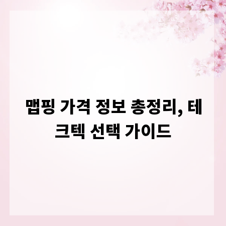 맵핑 가격 정보 총정리, 테크텍 선택 가이드