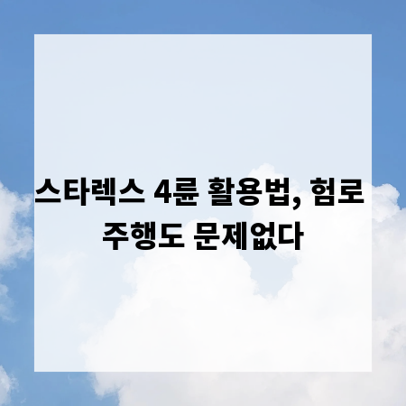 스타렉스 4륜 활용법, 험로 주행도 문제없다
