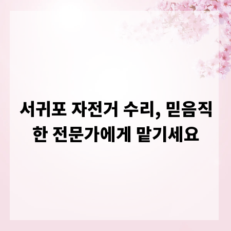 서귀포 자전거 수리, 믿음직한 전문가에게 맡기세요