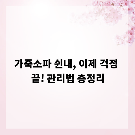 가죽소파 쉰내, 이제 걱정 끝! 관리법 총정리