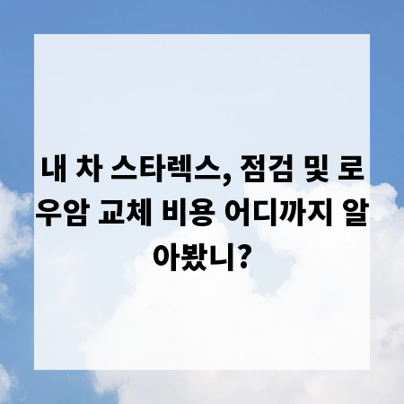 내 차 스타렉스, 점검 및 로우암 교체 비용 어디까지 알아봤니?