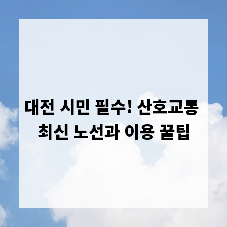 대전 시민 필수! 산호교통 최신 노선과 이용 꿀팁